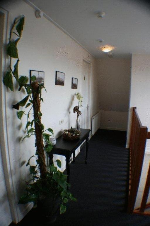 Hotel De Harmonie Sexbierum Dış mekan fotoğraf